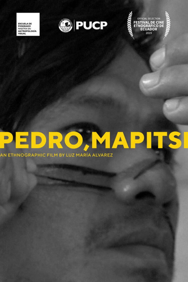 Pedro Mapitsi